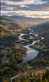 Rendalen